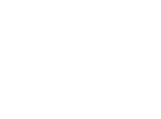 Techleet Solutions
